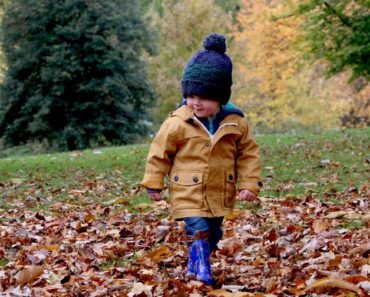 Les 5 meilleurs animaux domestiques pour vos enfants